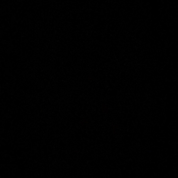 Meet your Posher, Brady - Picture 1 of 1